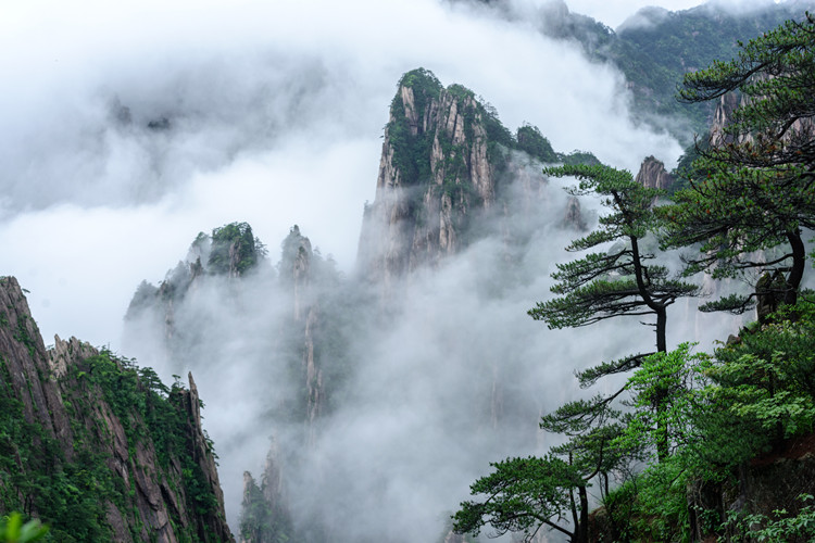 山语神往-庐山、景德镇、婺源、宏村、黄山四晚五天