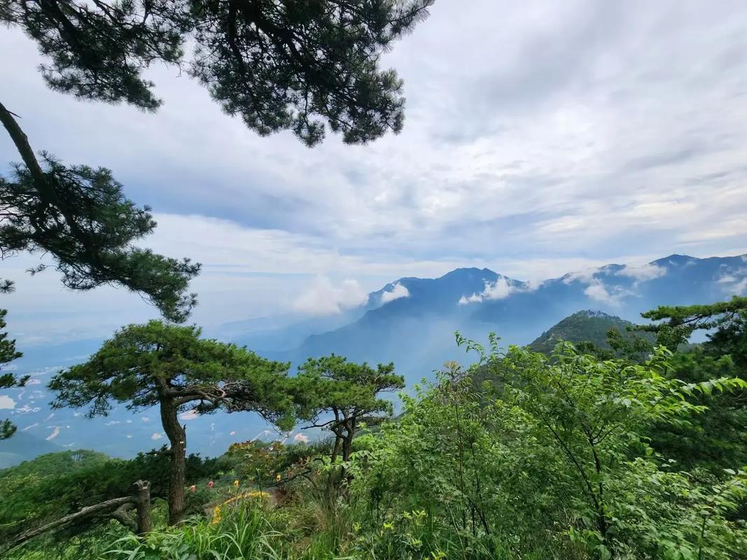 深耕江西地接20余年 江西好心情国际旅行社以全链条服务能力服务全国游客
