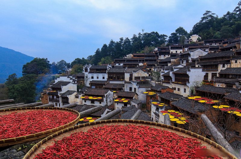 江西旅游小包团选哪家靠谱？20余年江西地接经验的旅行社说点实话